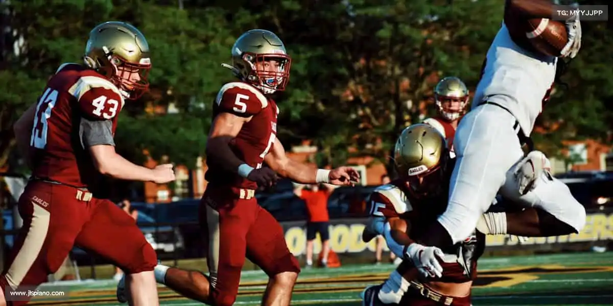 为什么选择我们